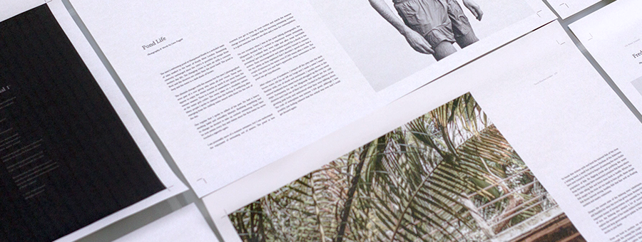 Highlights - Основы графического дизайна (июль-сен_0.png